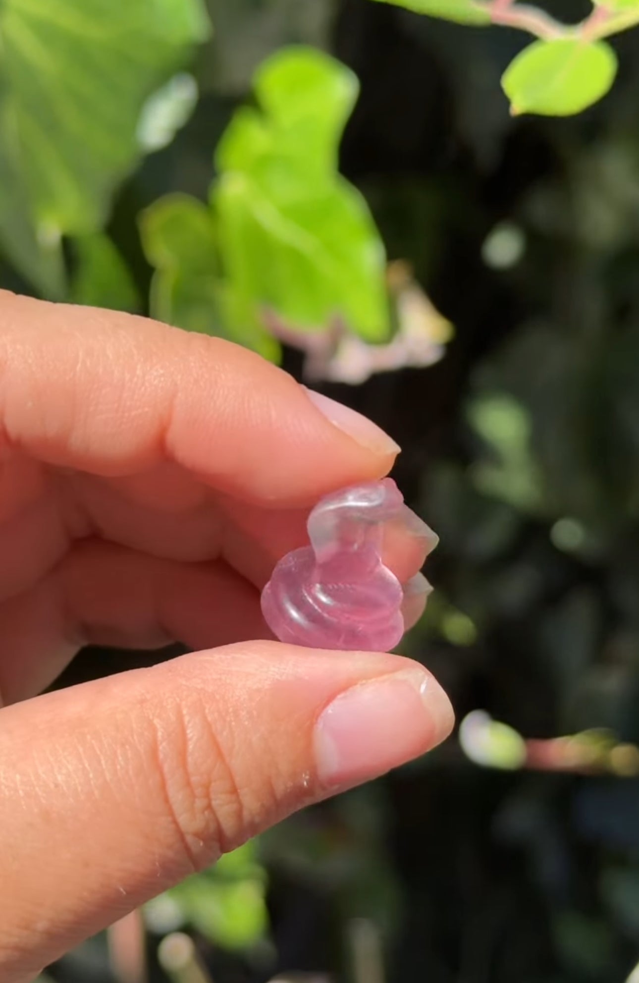 
                  
                    RESERVED LISTING - leftoverlexapro
                  
                