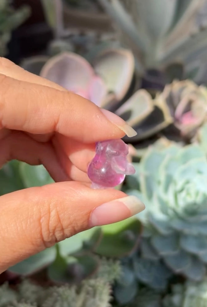 
                  
                    RESERVED LISTING - jval
                  
                