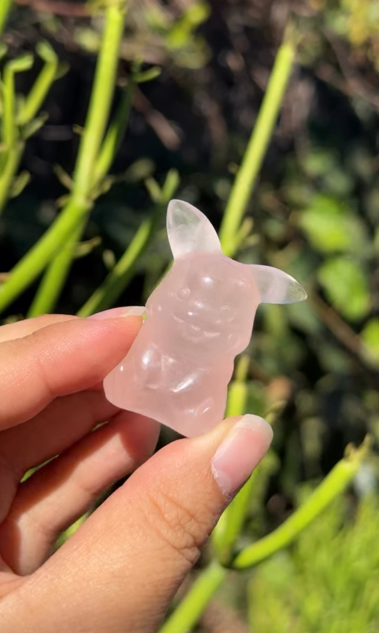 
                  
                    RESERVED LISTING - erinfetz
                  
                