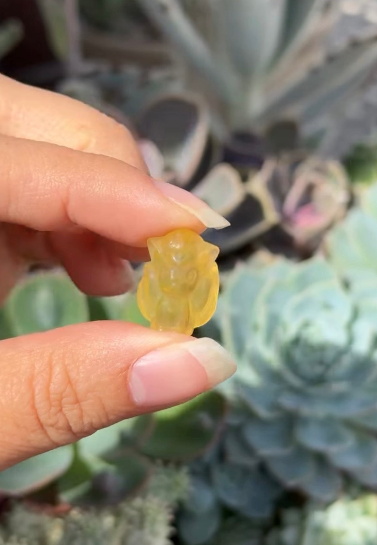 
                  
                    RESERVED LISTING - jval
                  
                