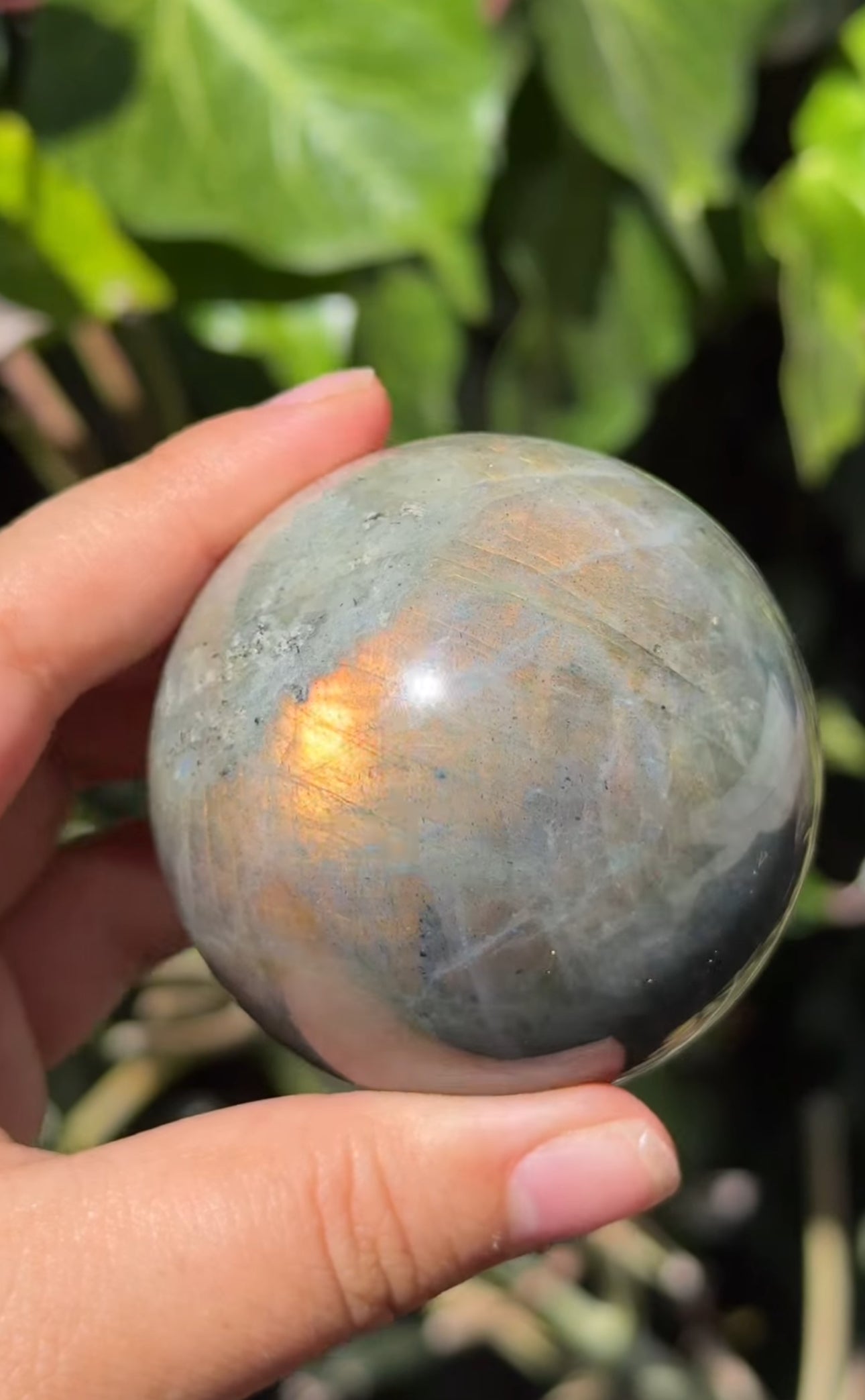 
                  
                    RESERVED LISTING - catniss_evergreen
                  
                