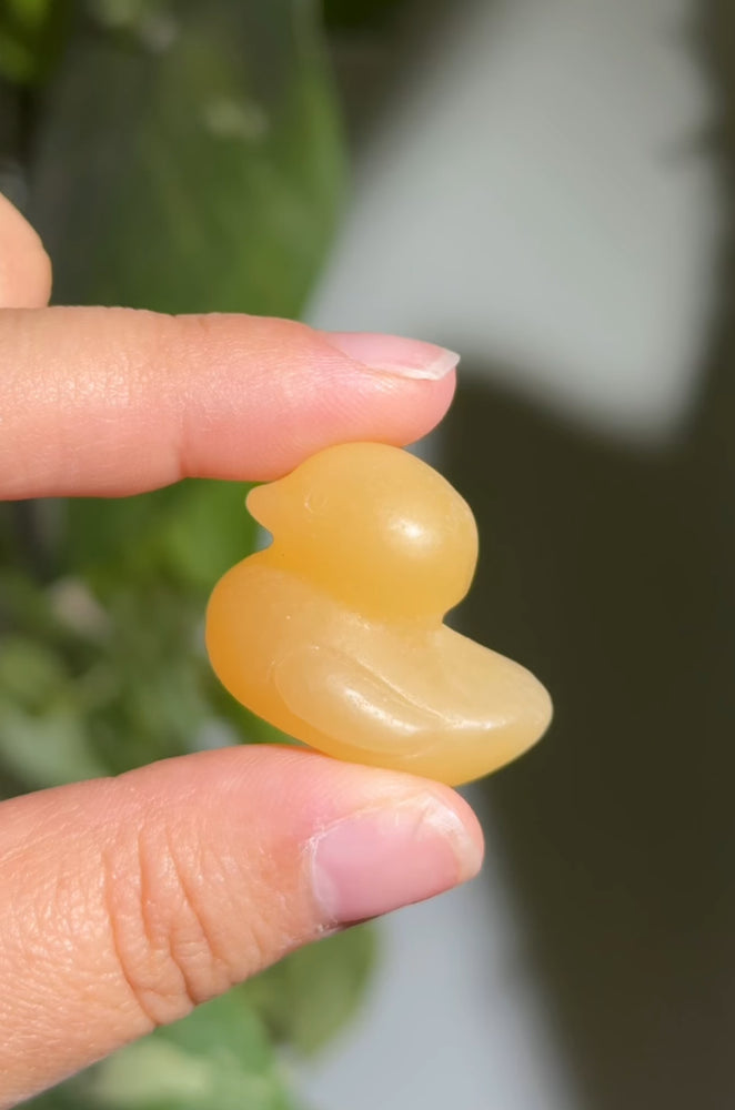 
                  
                    RESERVED LISTING - jval
                  
                