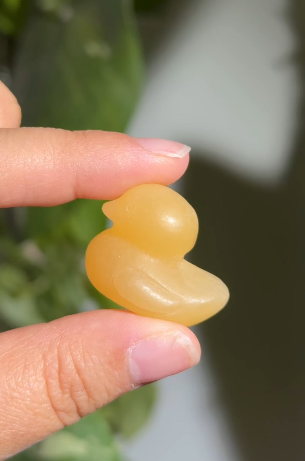 
                  
                    RESERVED LISTING - jval
                  
                