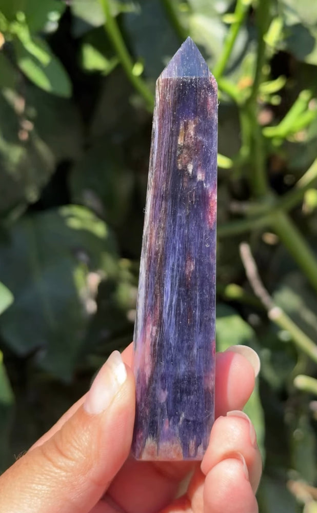 
                  
                    RESERVED LISTING - leftoverlexapro 3/4
                  
                