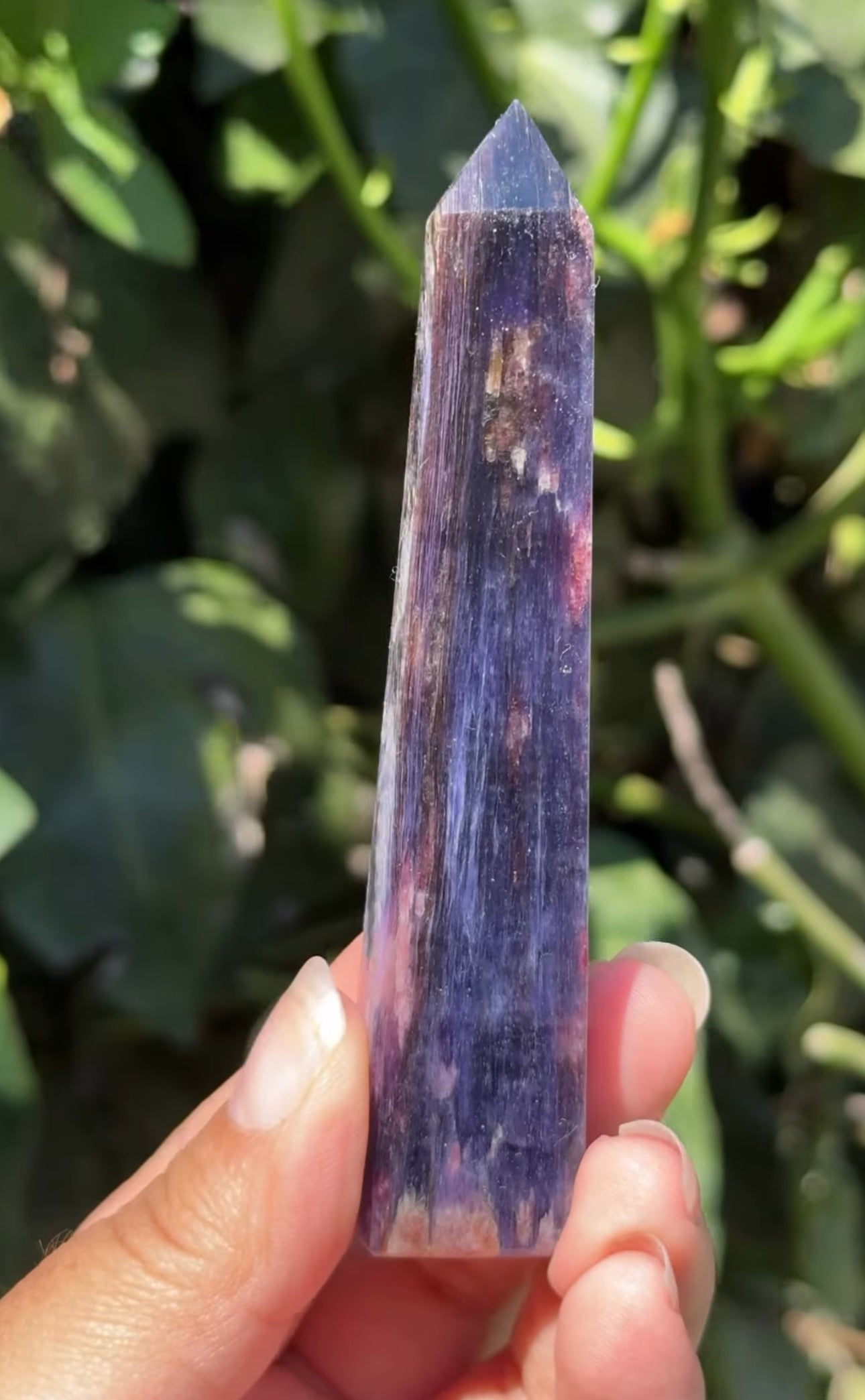 
                  
                    RESERVED LISTING - leftoverlexapro 3/4
                  
                