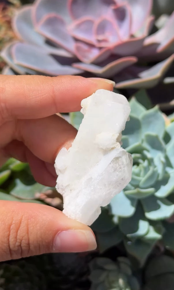 
                  
                    RESERVED LISTING - le_daedricprince
                  
                