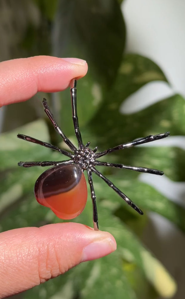 
                  
                    RESERVED LISTING - zombieboy69
                  
                