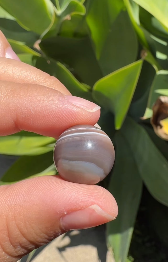 
                  
                    RESERVED LISTING - kelseyplanslife
                  
                