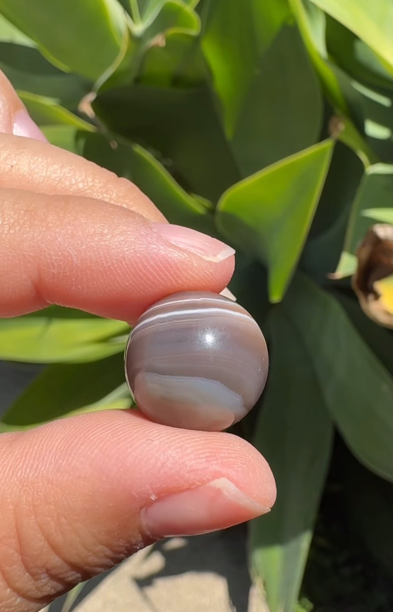 
                  
                    RESERVED LISTING - kelseyplanslife
                  
                