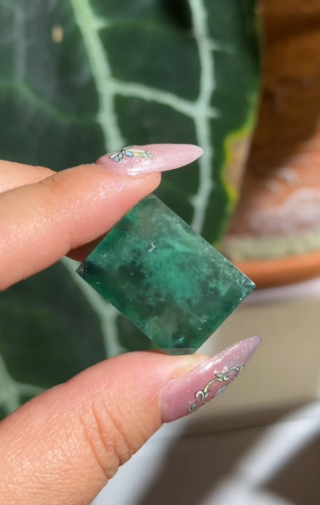 
                  
                    RESERVED LISTING - leftoverlexapro
                  
                