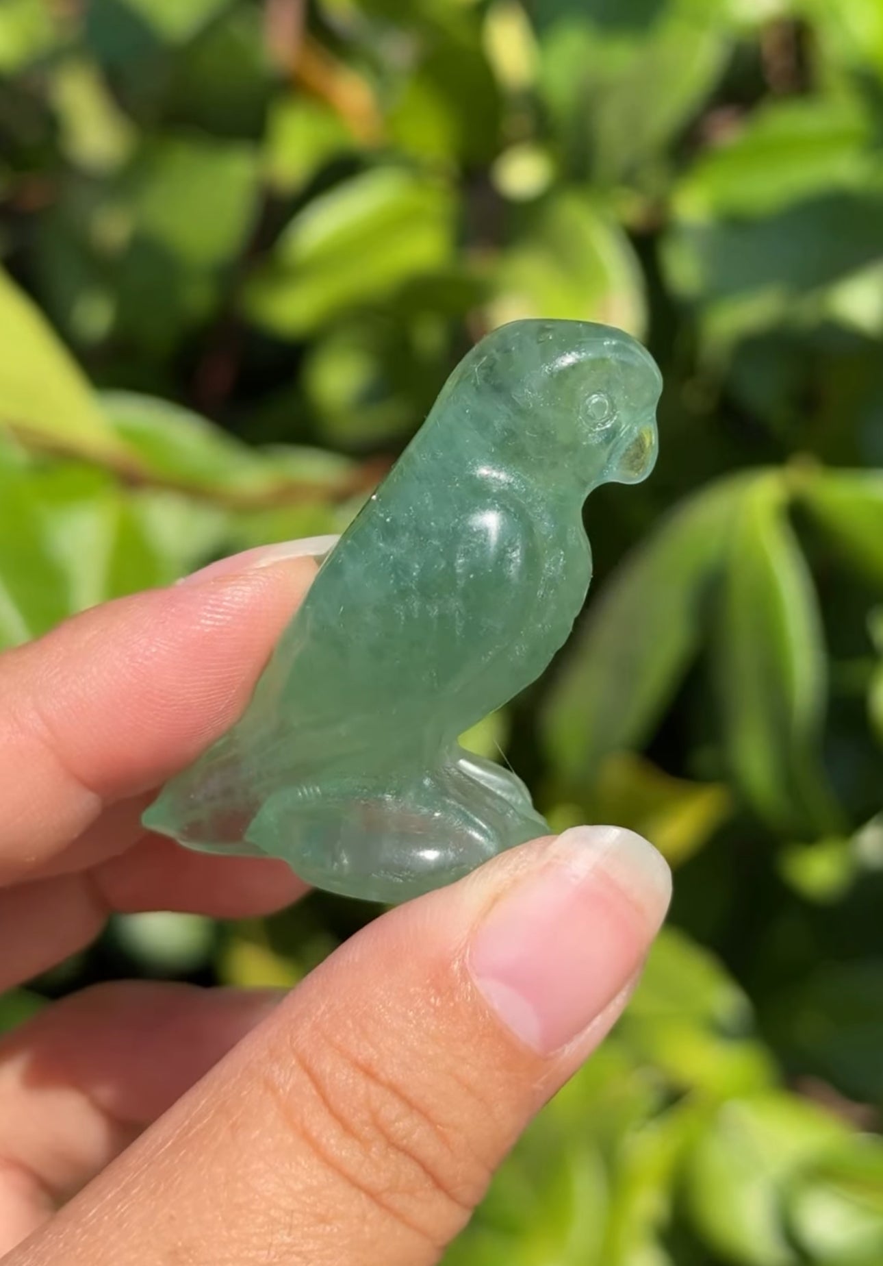 
                  
                    RESERVED LISTING - leftoverlexapro 3/4
                  
                