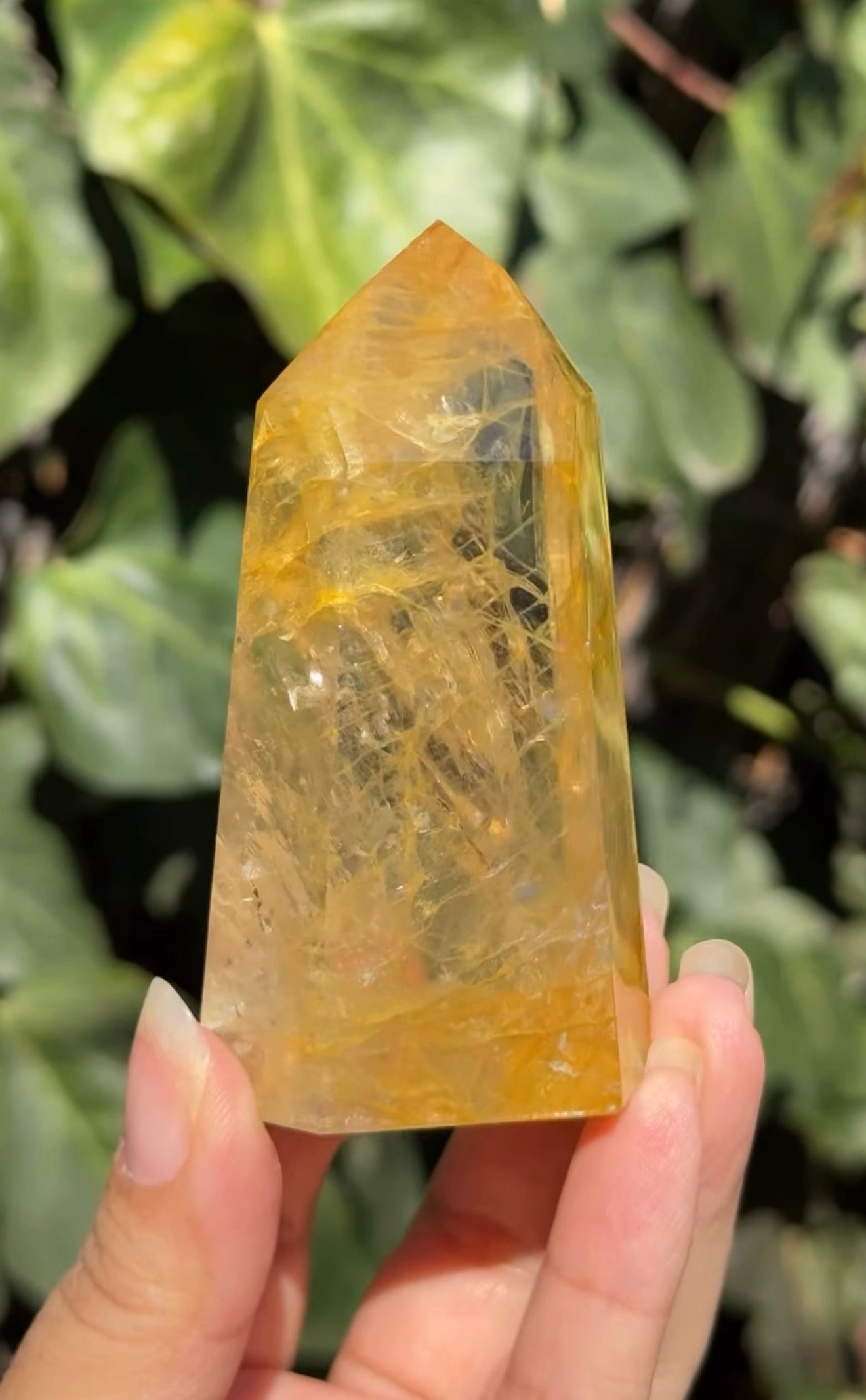 
                  
                    RESERVED LISTING - krystal.creature
                  
                