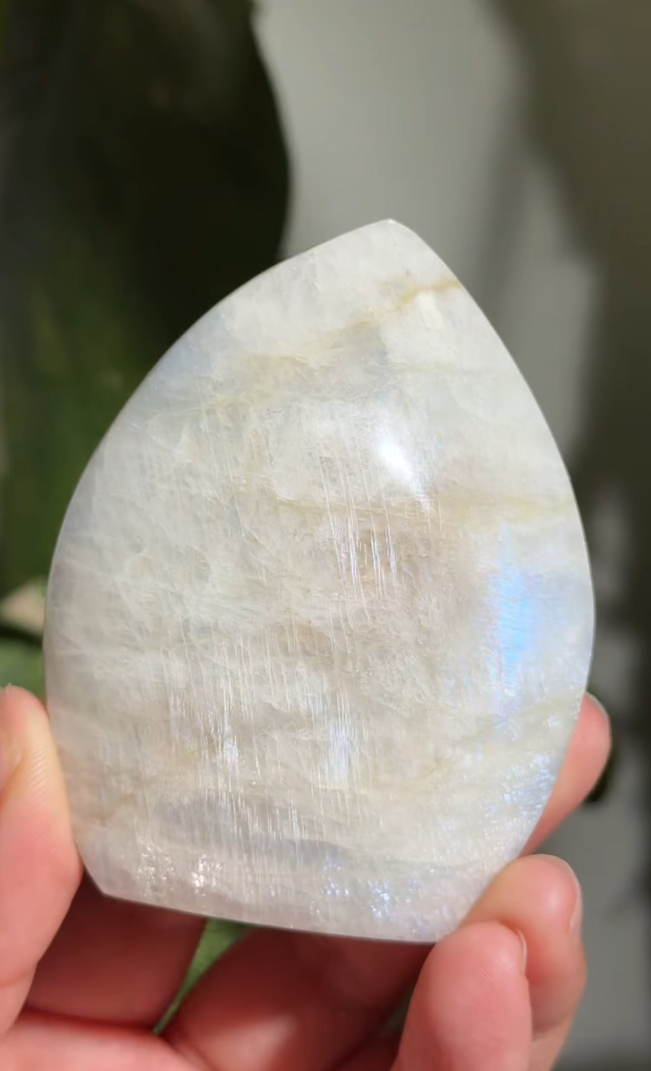 
                  
                    RESERVED LISTING - kc102620
                  
                