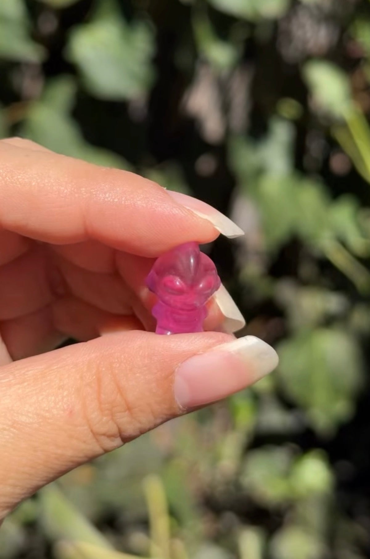 
                  
                    RESERVED LISTING - soupper
                  
                