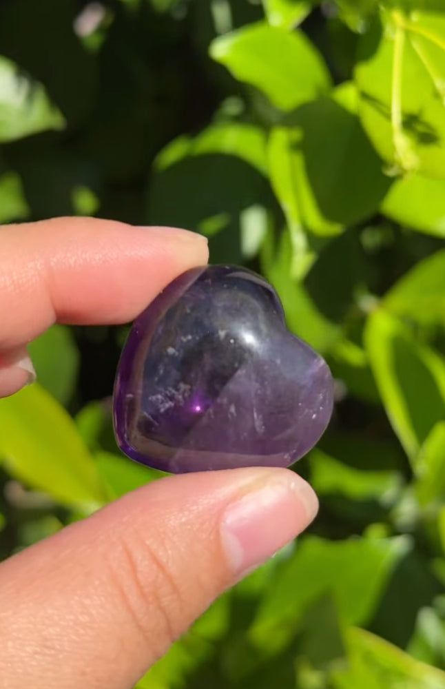 
                  
                    RESERVED LISTING - leftoverlexapro
                  
                