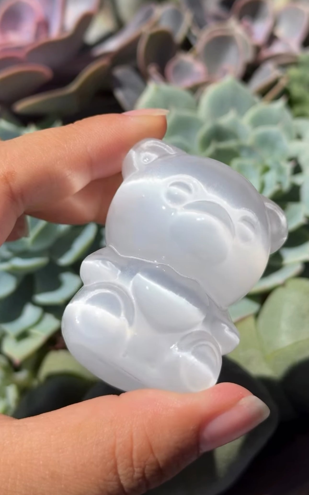 
                  
                    RESERVED LISTING - jval
                  
                