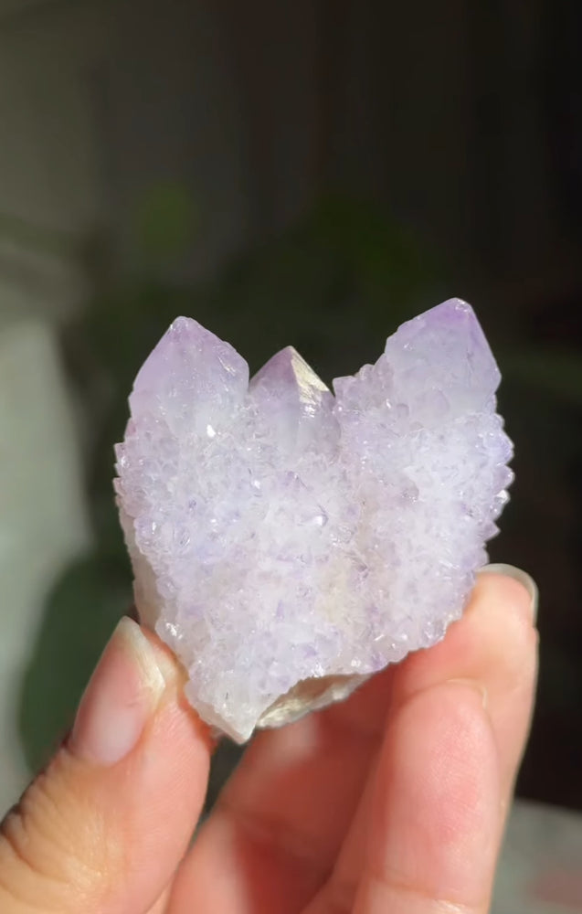 
                  
                    RESERVED LISTING - alyssakovvv
                  
                