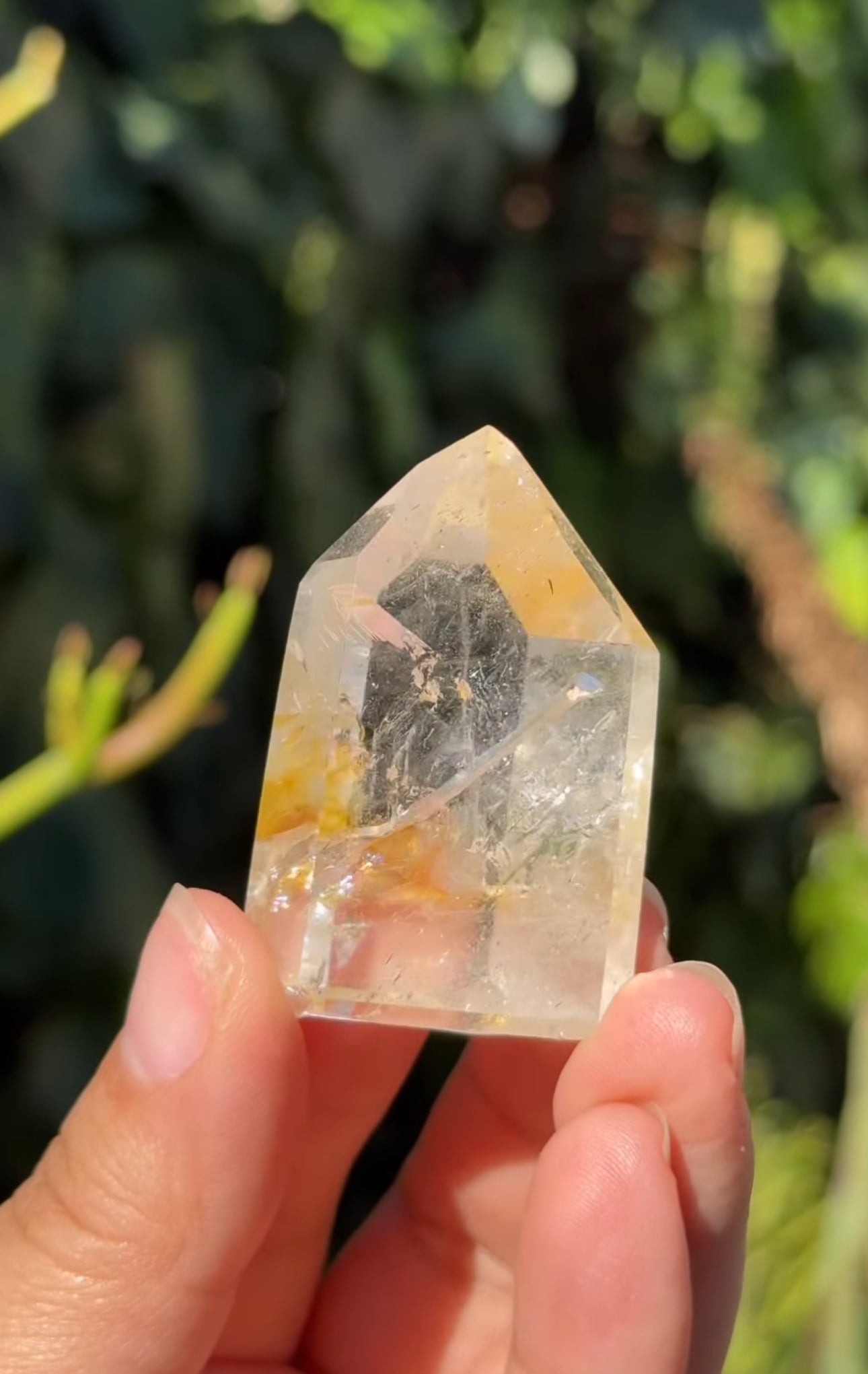 
                  
                    RESERVED LISTING - leftoverlexapro
                  
                