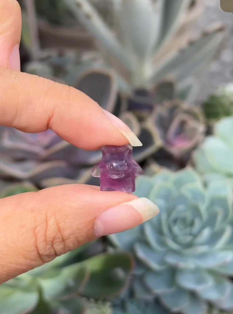 
                  
                    RESERVED LISTING - krystal.creature
                  
                