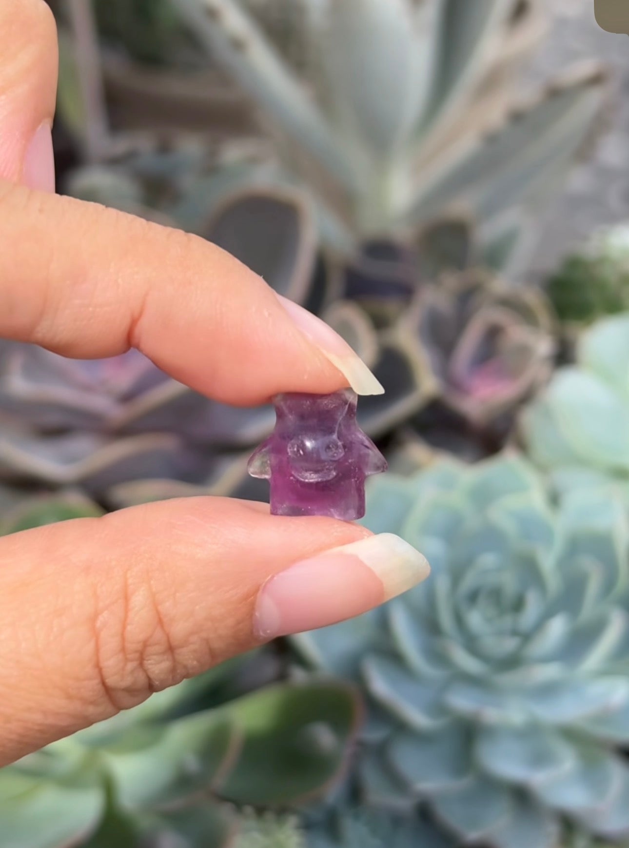 
                  
                    RESERVED LISTING - krystal.creature
                  
                