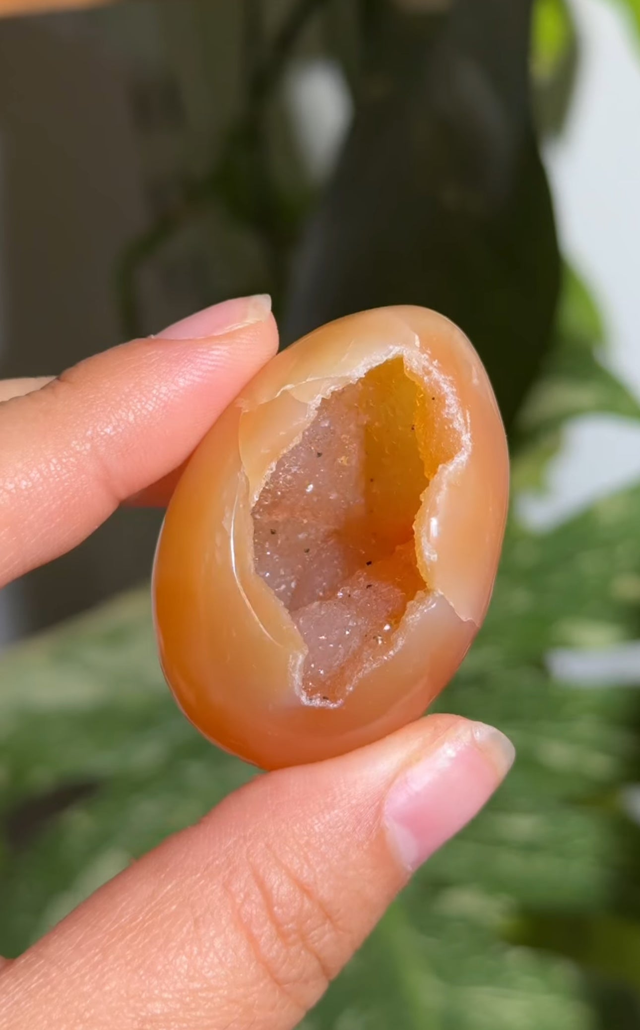 
                  
                    RESERVED LISTING - melty82
                  
                