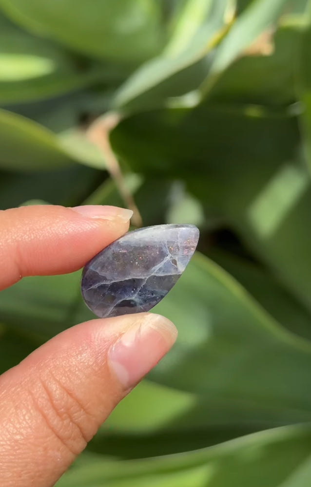 
                  
                    RESERVED LISTING - rosenightshadow
                  
                