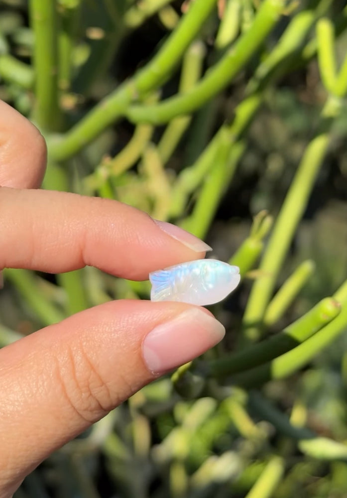 
                  
                    RESERVED LISTING - rue.lew
                  
                