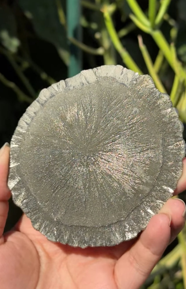 
                  
                    RESERVED LISTING - carly.cylar_
                  
                