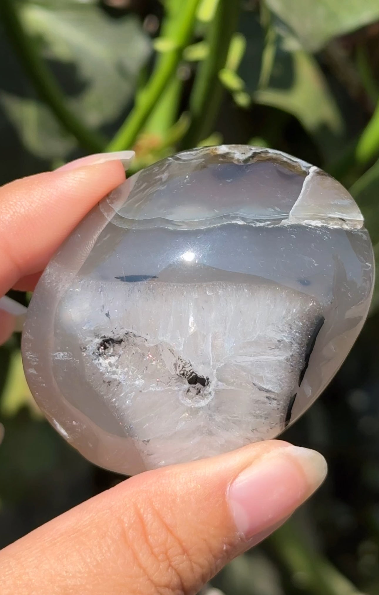 
                  
                    RESERVED LISTING - zombieboy69
                  
                