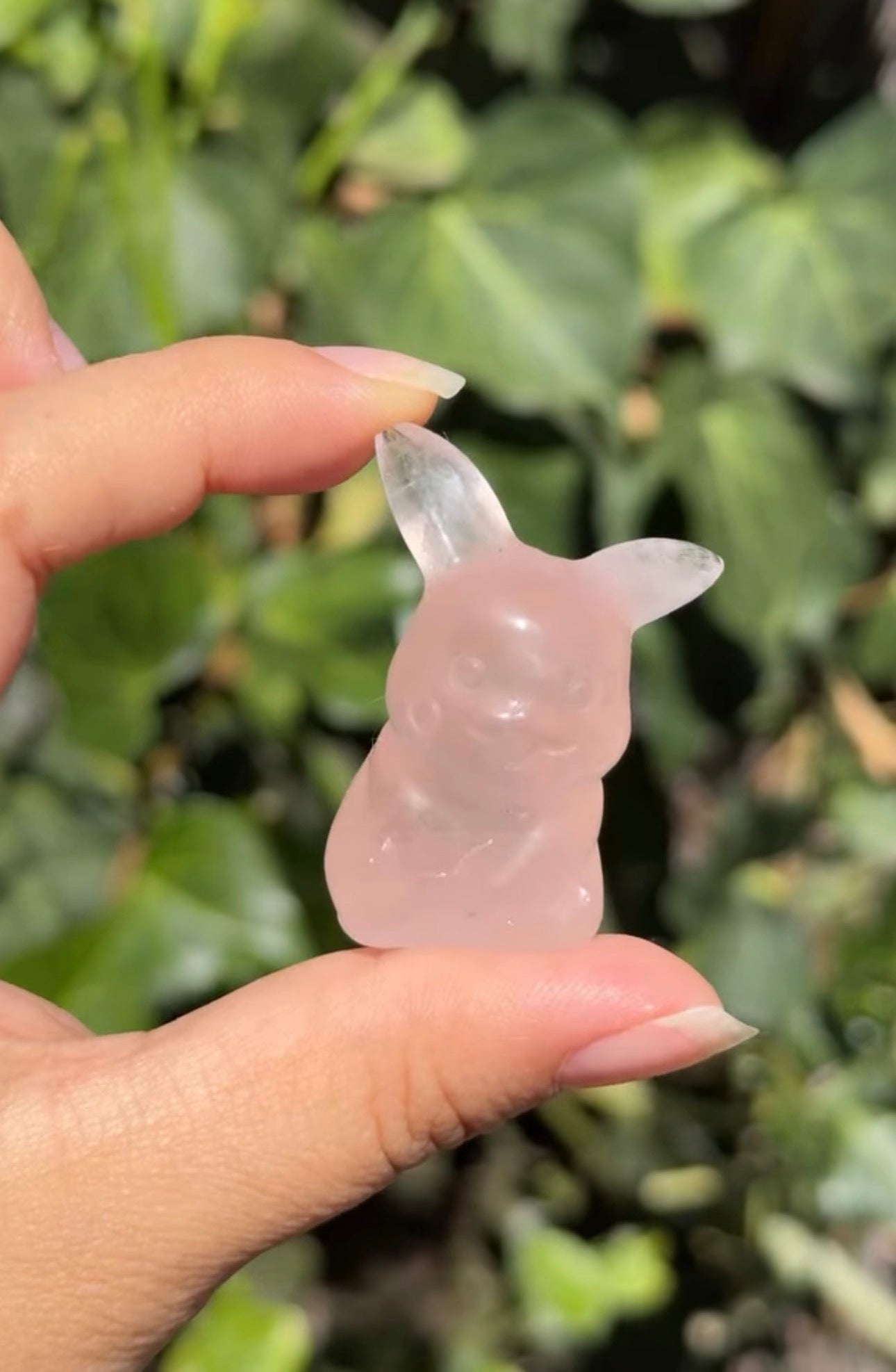 
                  
                    RESERVED LISTING - jval
                  
                