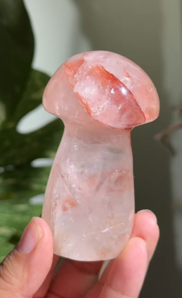 
                  
                    RESERVED LISTING - kc102620
                  
                