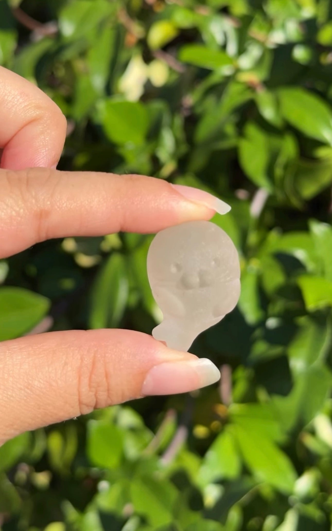 
                  
                    RESERVED LISTING - _crownut_
                  
                