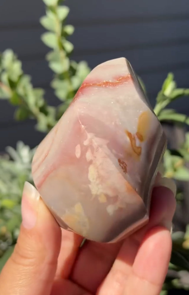 
                  
                    RESERVED LISTING - kelseyplanslife
                  
                