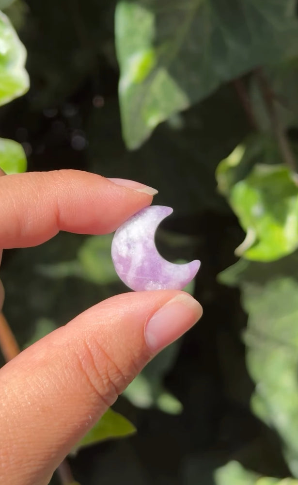 
                  
                    RESERVED LISTING - ghostofgabby
                  
                