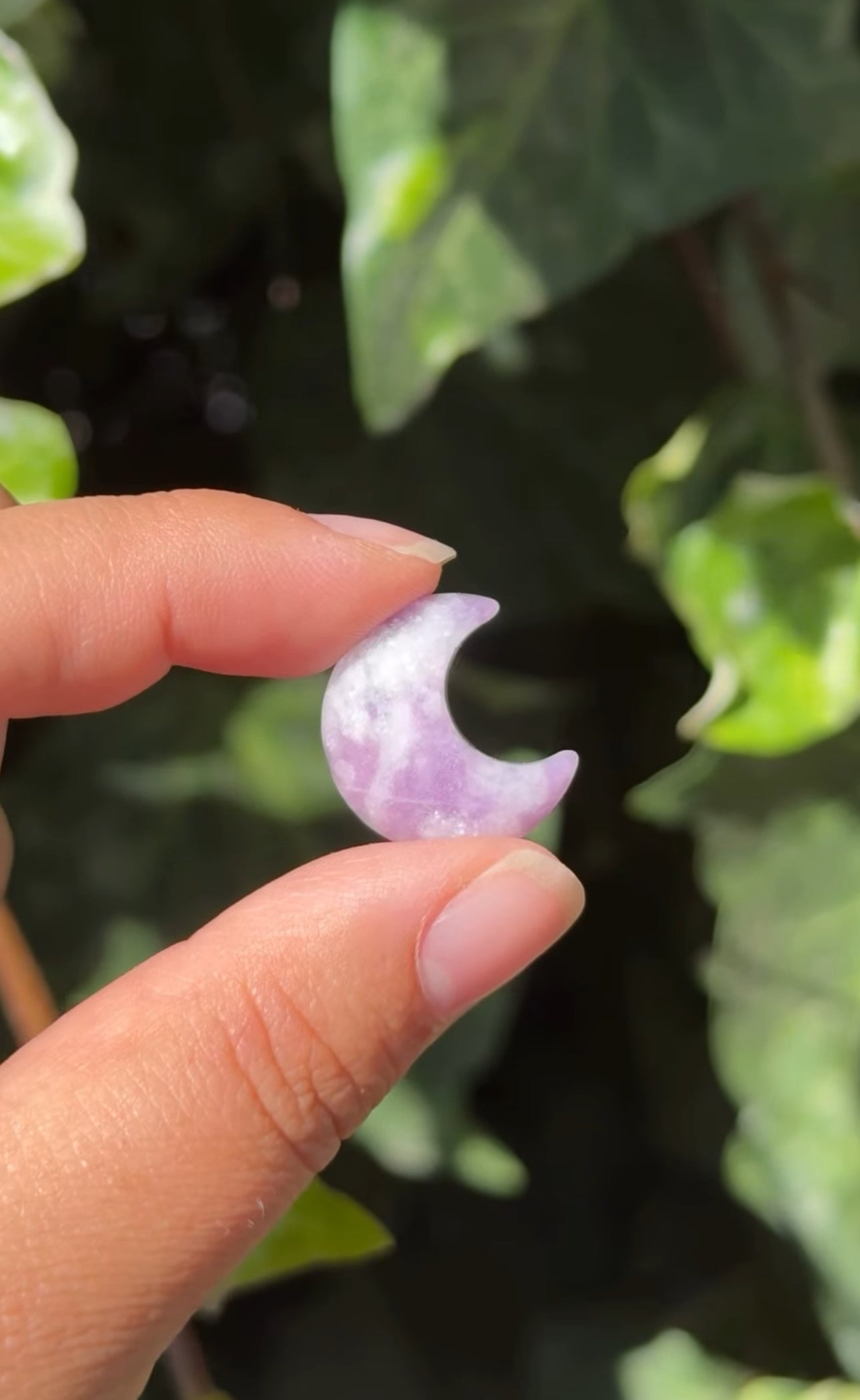 
                  
                    RESERVED LISTING - ghostofgabby
                  
                