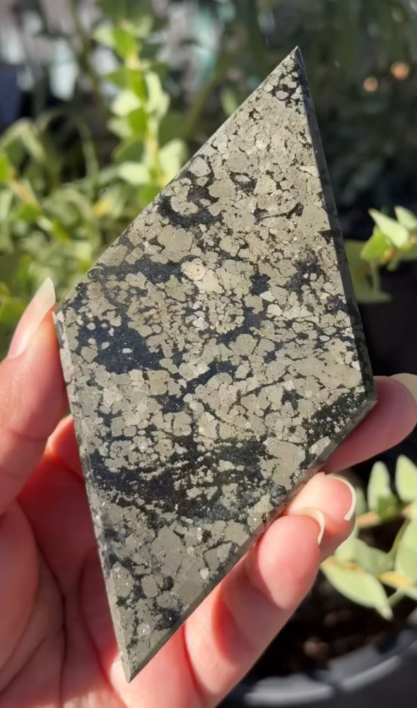 
                  
                    RESERVED LISTING - kelseyplanslife
                  
                