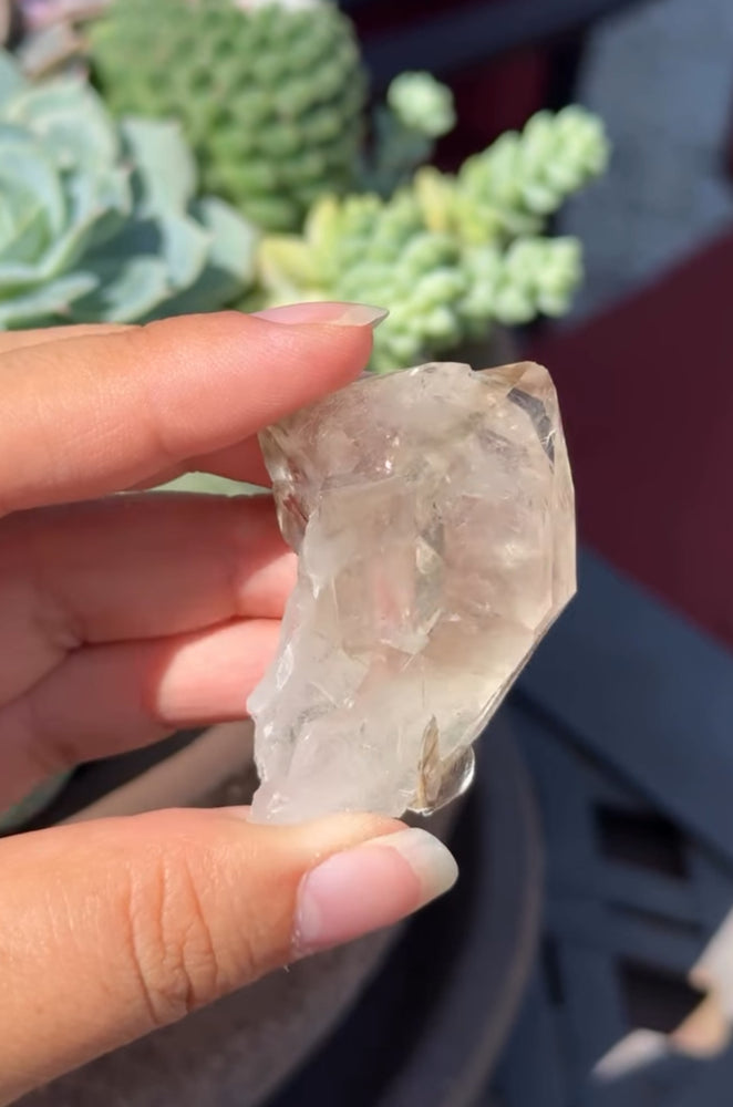 
                  
                    RESERVED LISTING - leftoverlexapro
                  
                