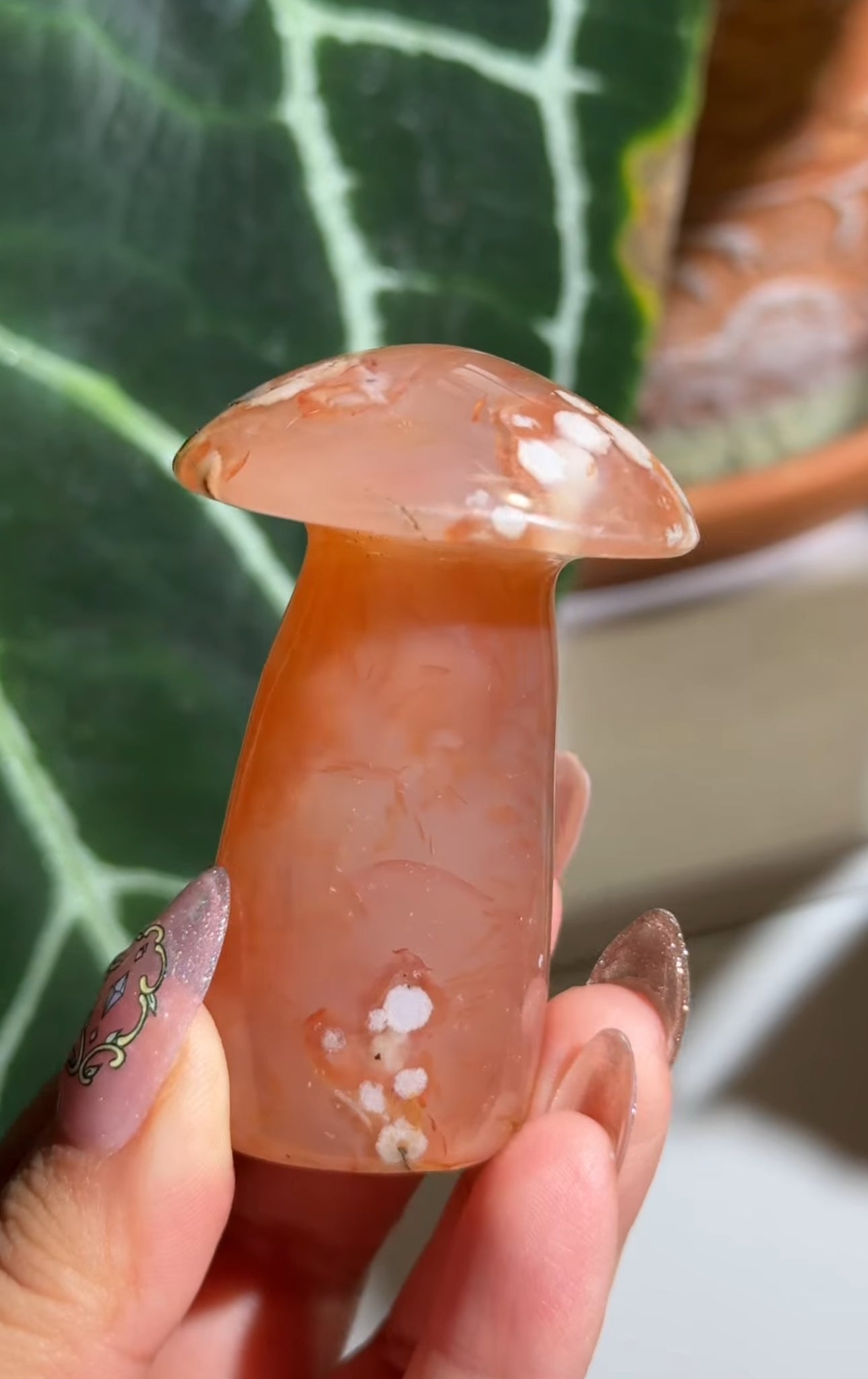 
                  
                    RESERVED LISTING - kelseyplanslife
                  
                