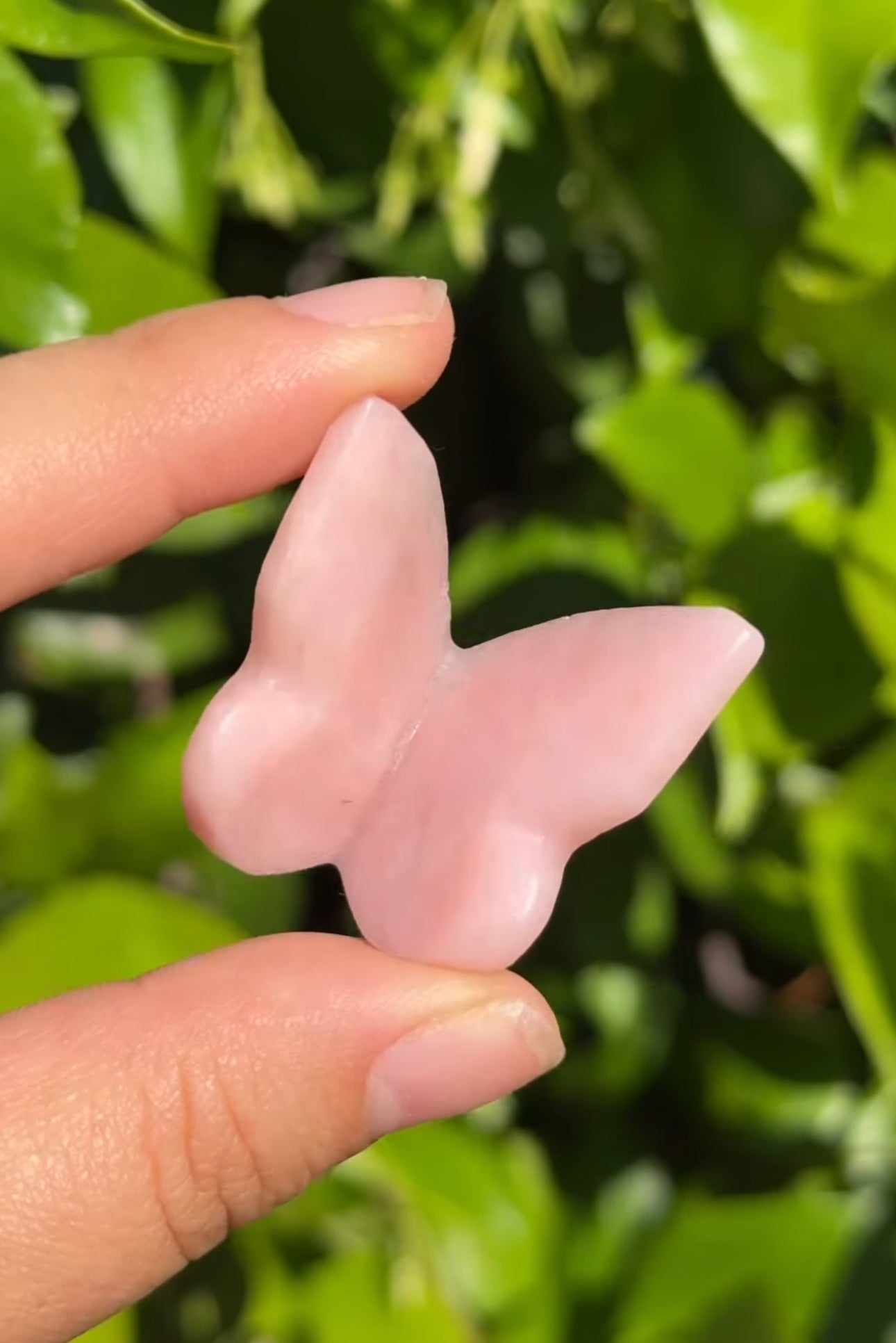 
                  
                    RESERVED LISTING - catniss_evergreen
                  
                