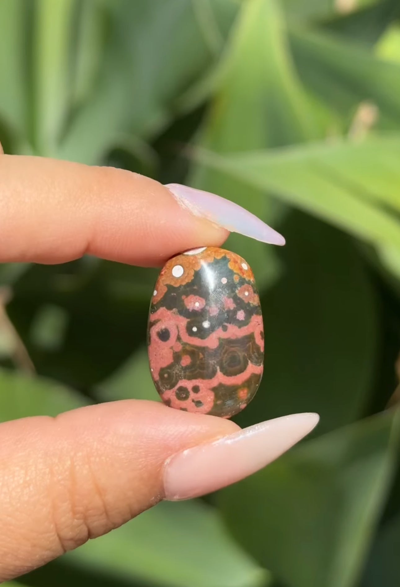 
                  
                    RESERVED LISTING - romae.aquino
                  
                