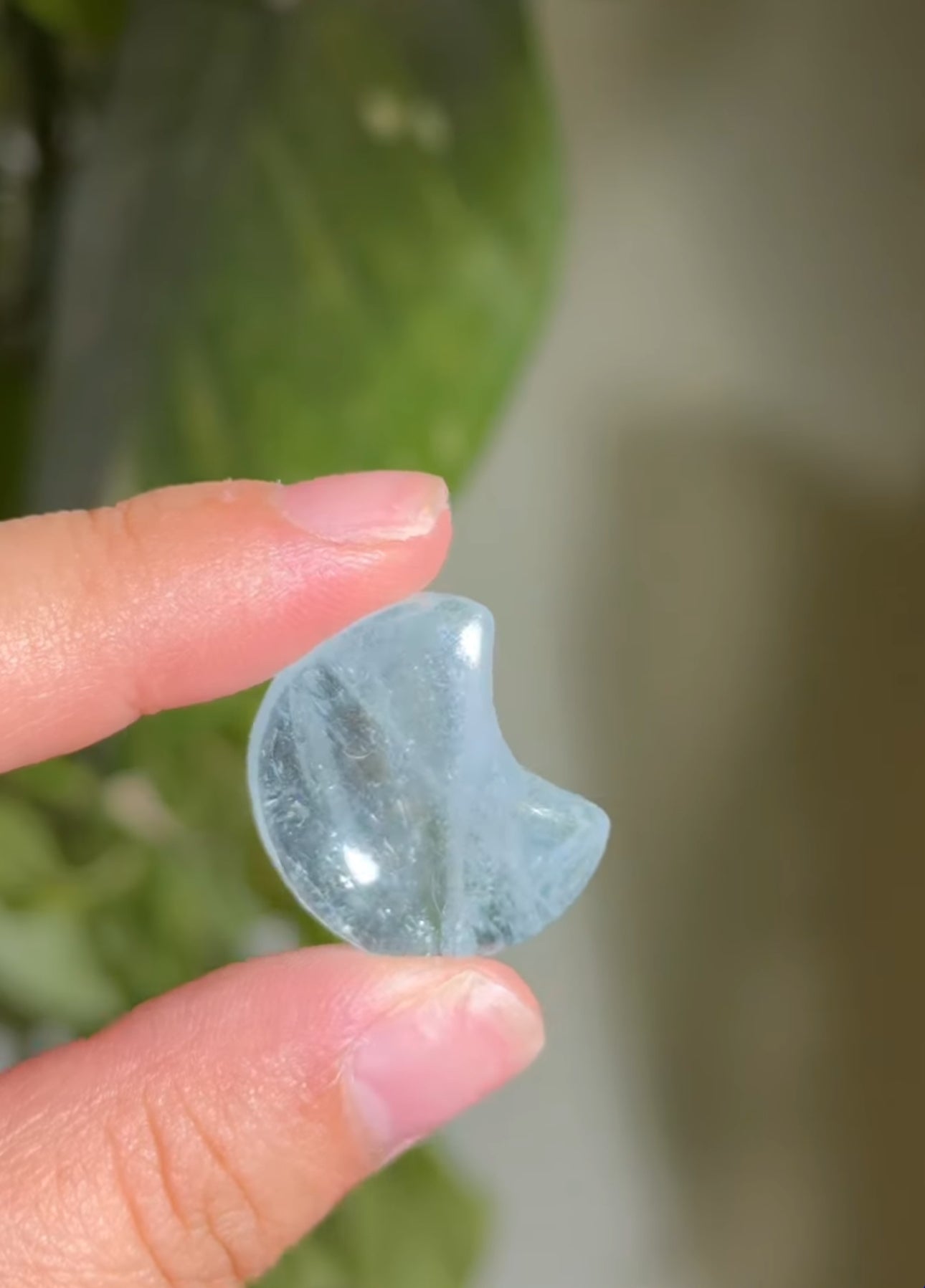 
                  
                    RESERVED LISTING - fireflyinthefields
                  
                