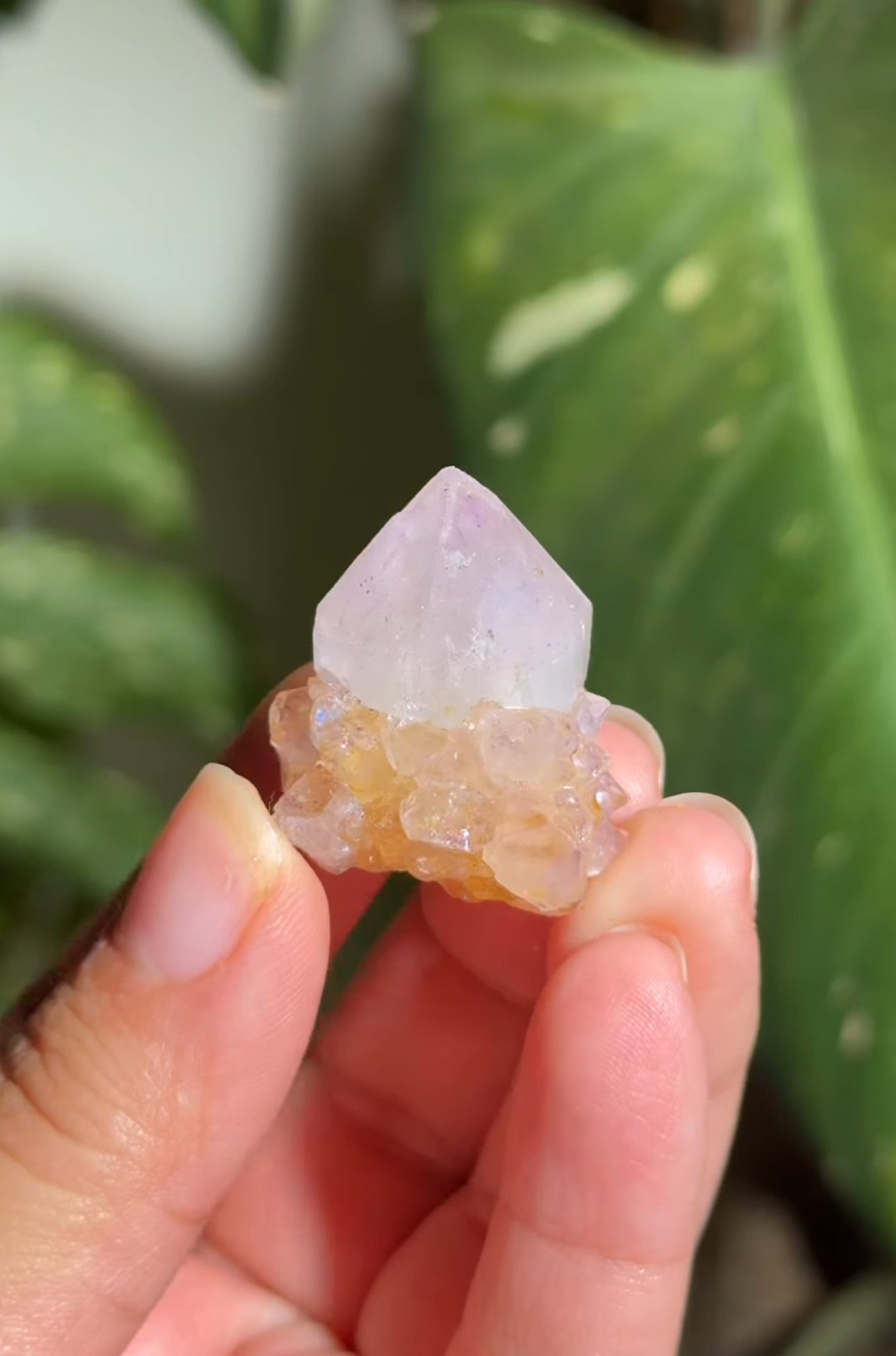 
                  
                    RESERVED LISTING - romae.aquino
                  
                