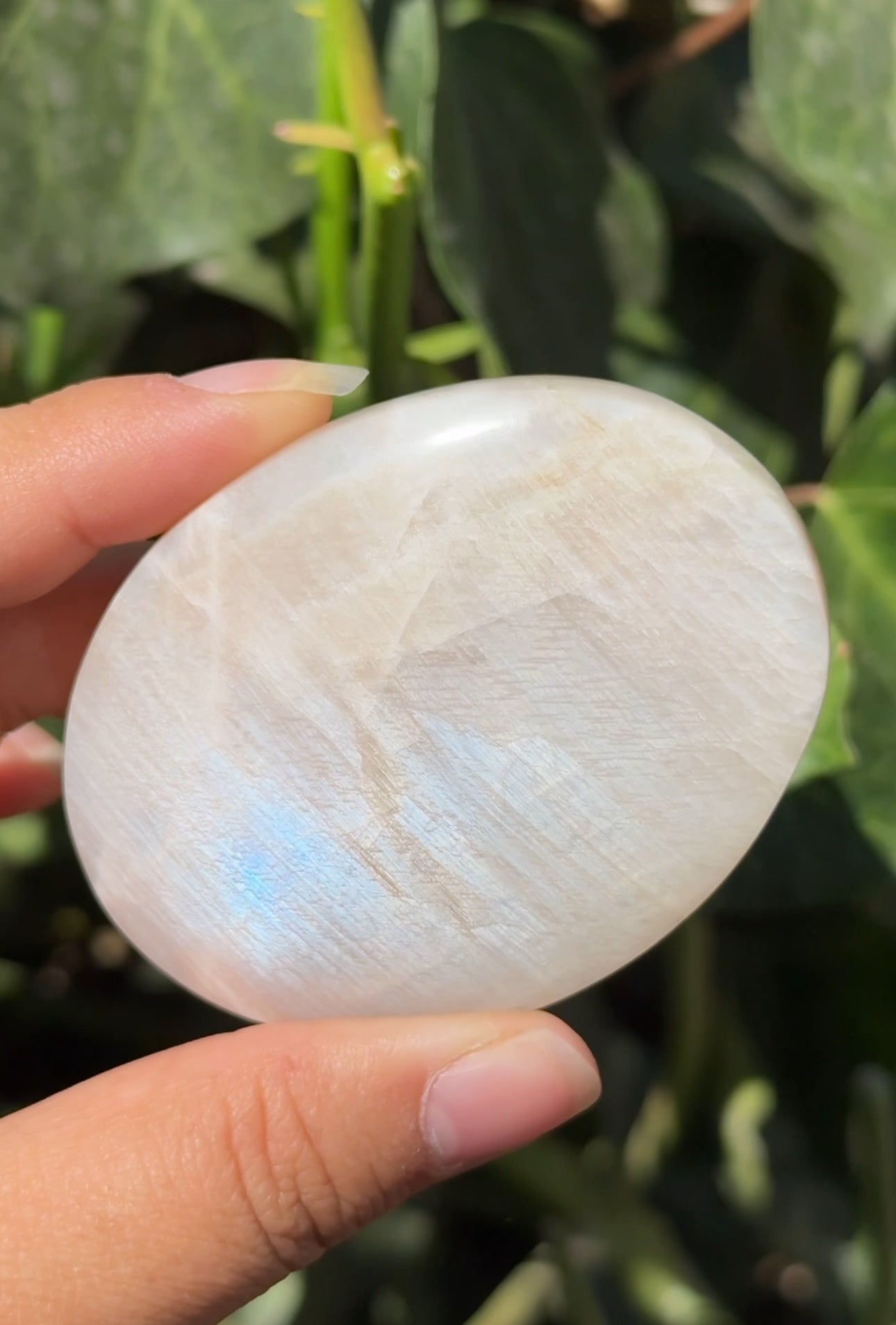 
                  
                    RESERVED LISTING - megengst
                  
                