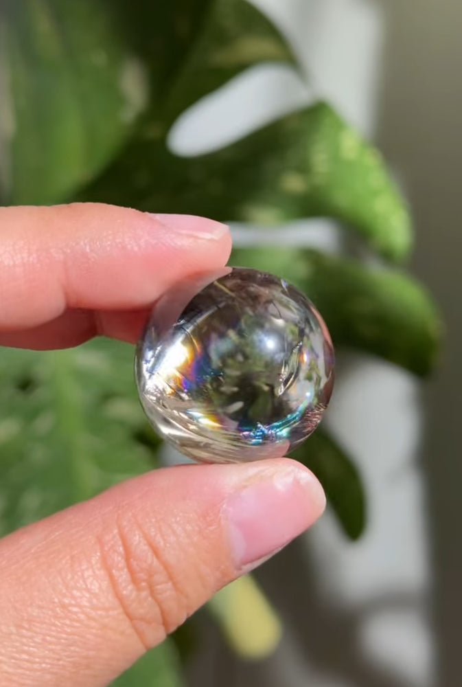 
                  
                    RESERVED LISTING - publichealthplanter
                  
                