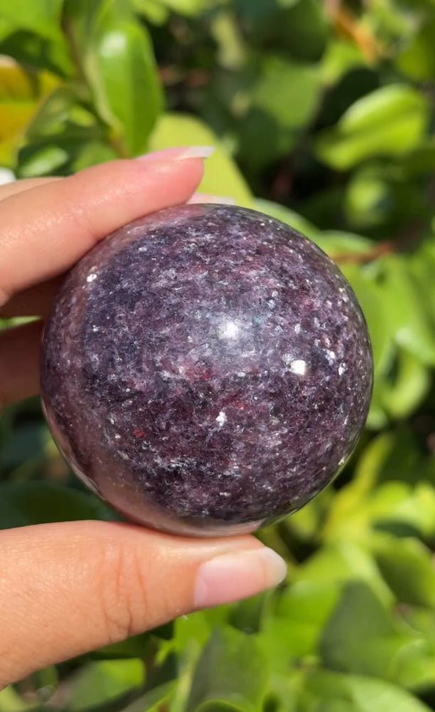 
                  
                    RESERVED LISTING - erinfetz
                  
                