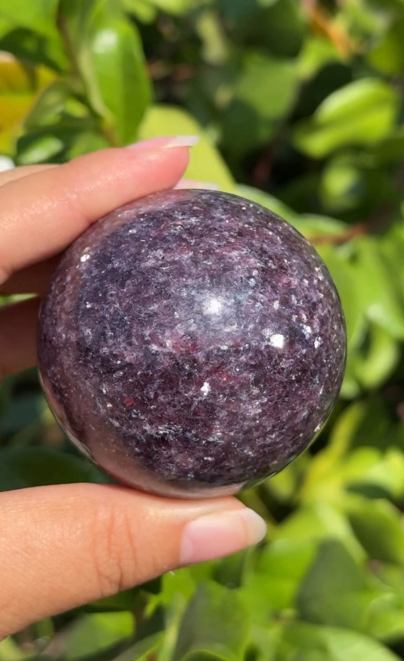 
                  
                    RESERVED LISTING - erinfetz
                  
                