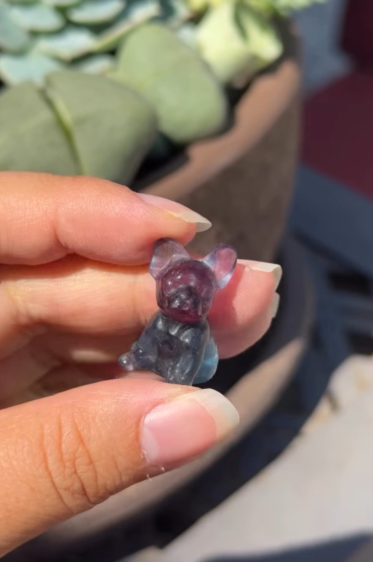 
                  
                    RESERVED LISTING - legendgirl.4ever
                  
                