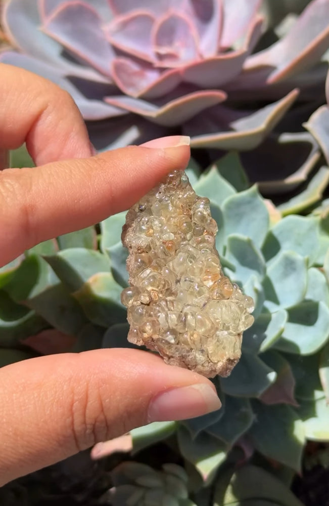 
                  
                    RESERVED LISTING - catniss_evergreen
                  
                