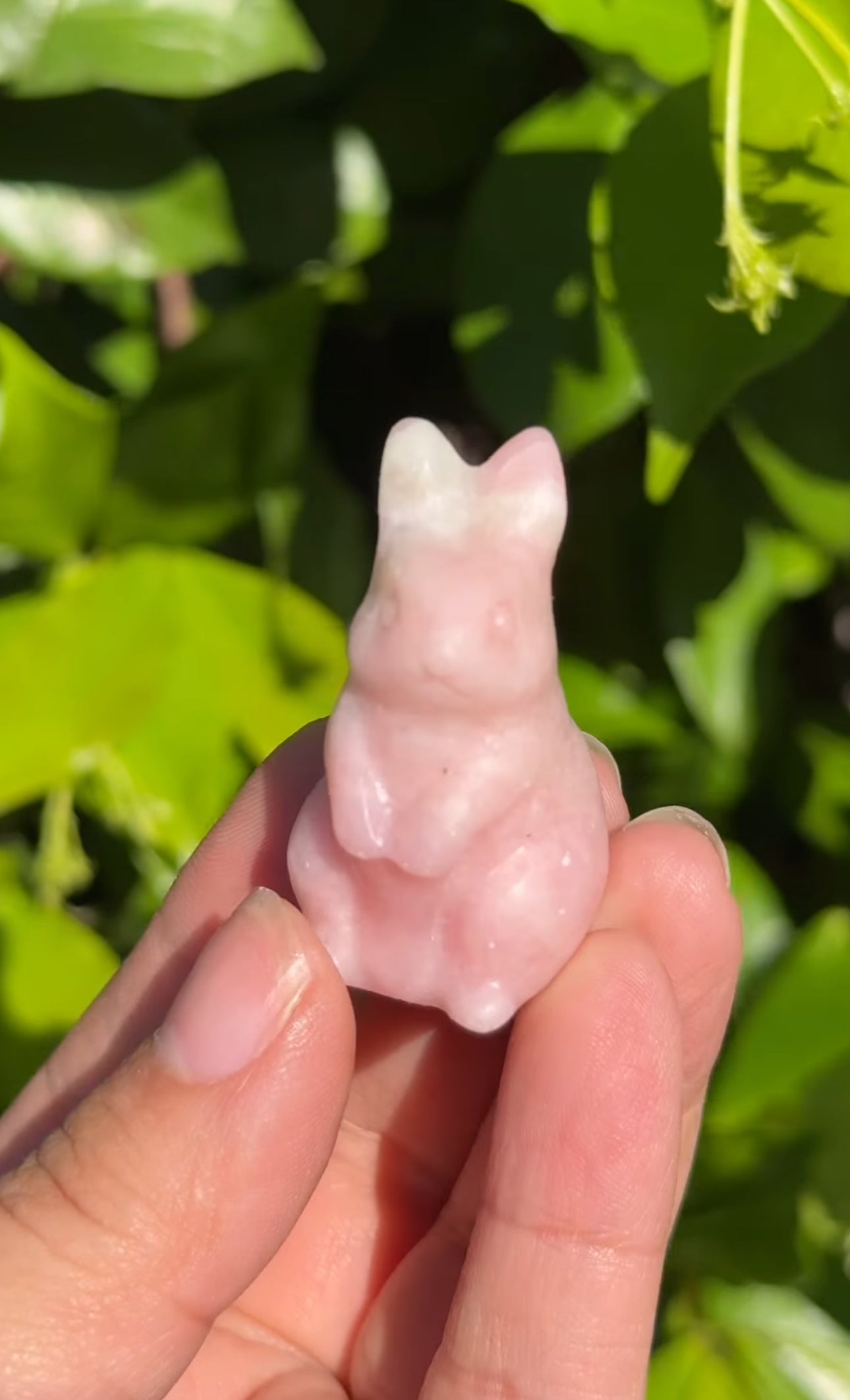 
                  
                    RESERVED LISTING - thewaters_and_thewild
                  
                