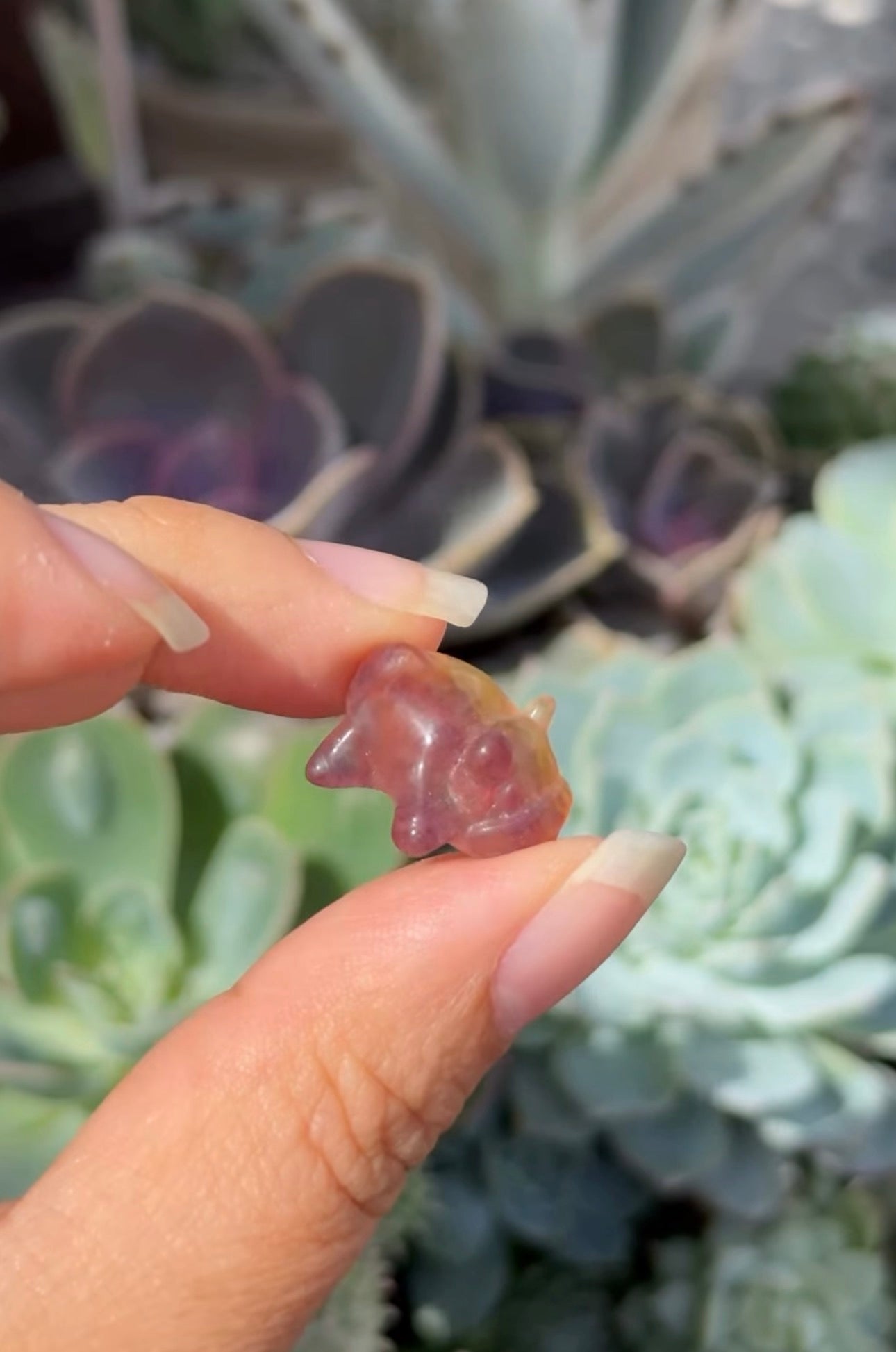 
                  
                    RESERVED LISTING - leftoverlexapro
                  
                